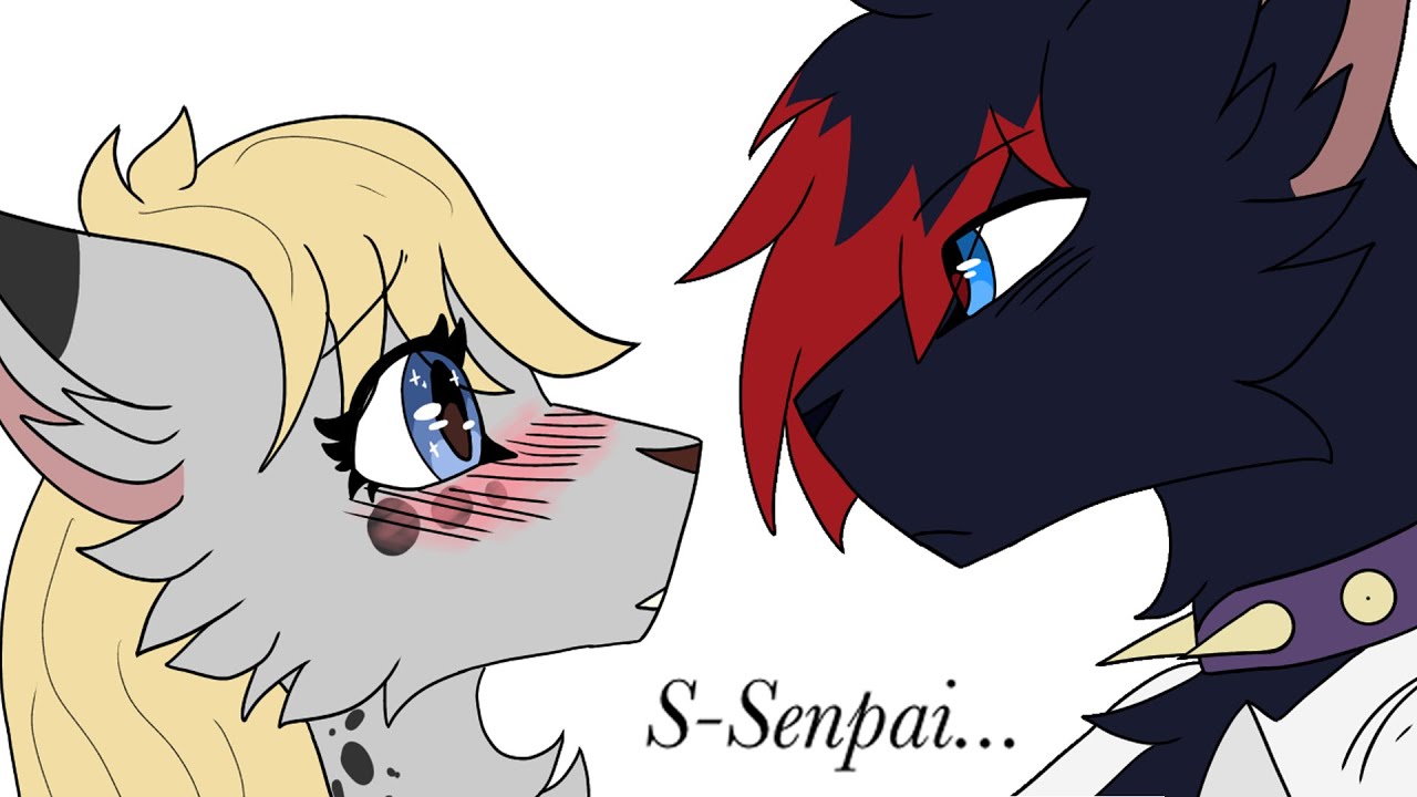 If Warrior Cats Was Anime Youtube If Warrior Cats Was Anime Youtube
