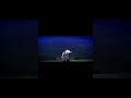 sasuke finishing Naruto ultimate ninja impact