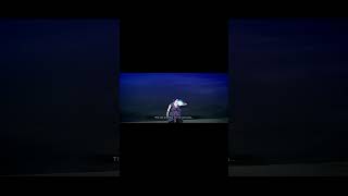 sasuke finishing Naruto ultimate ninja impact