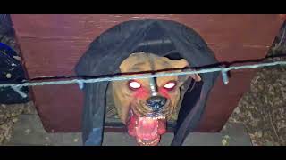 Halloween Haunted Forest Maze Last Night of 2025