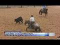 Cutting the competition 42nd abilene winter circuit in full swing at expo center