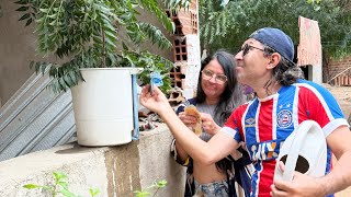 Download Lagu Os Frutos Dessa Planta é Dinheiro! Vai Vendo Só 😅😅 MP3 Download Lagu Os Frutos Dessa Planta é Dinheiro! Vai Vendo Só 😅😅 MP3