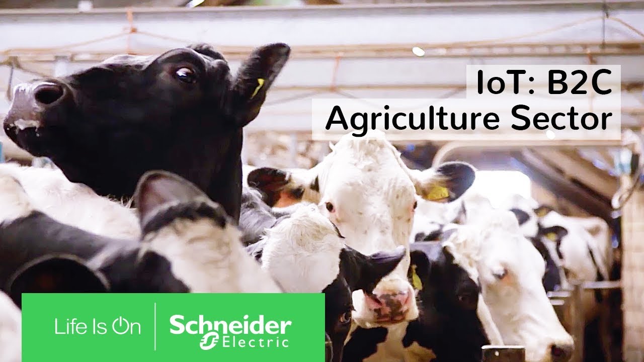 square diamond earrings IoT: Powering the Digital Economy - The B2C Agriculture Sector | Schneider Electric