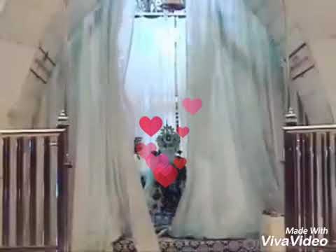 "Jai Baba Godriwale ki":- Peaceful song