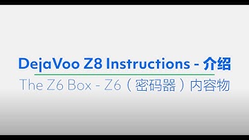 Dejavoo Z8 The Z6 Box - Z6(密码器) 内容物