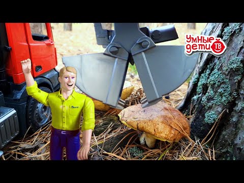Видео: Bruder грузовик Mercedes-Benz с краном-манипулятором собирает грибы в лесу