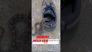 Celebrity #viral shorts #indian Rock Python @Non venmas #baby Python Net Worth