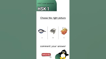 🐈 hsk1 listening test quiz | Chinese hsk 1 exam