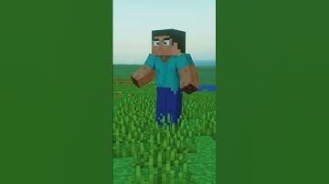 Steve does a backflip (Minecraft Animation)