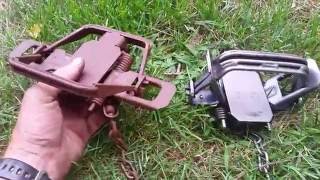 Bridger #2 Dogless 4 Coiled Fully Modified Traps Review