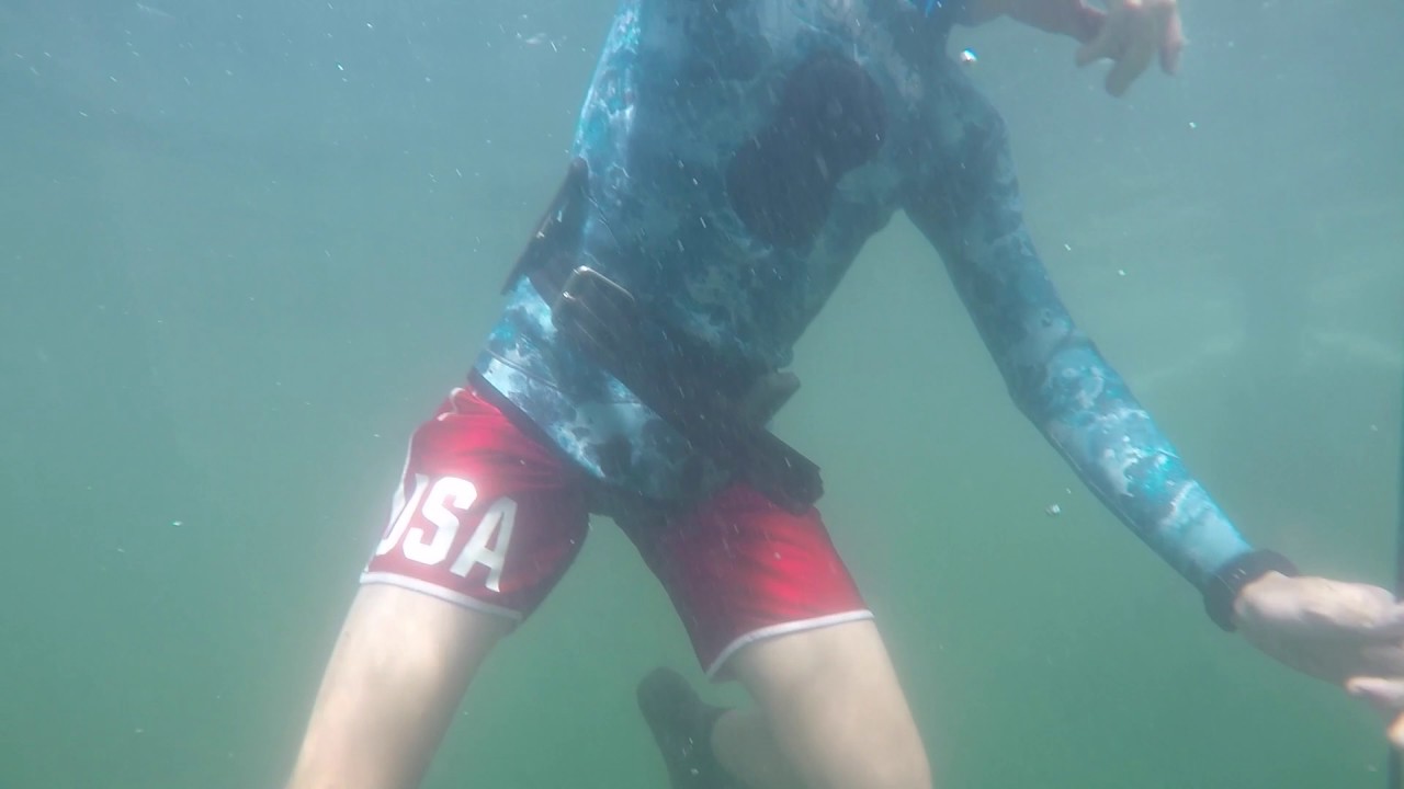 Spearfishing in Jacksonville, Florida July 28, 2017 YouTube