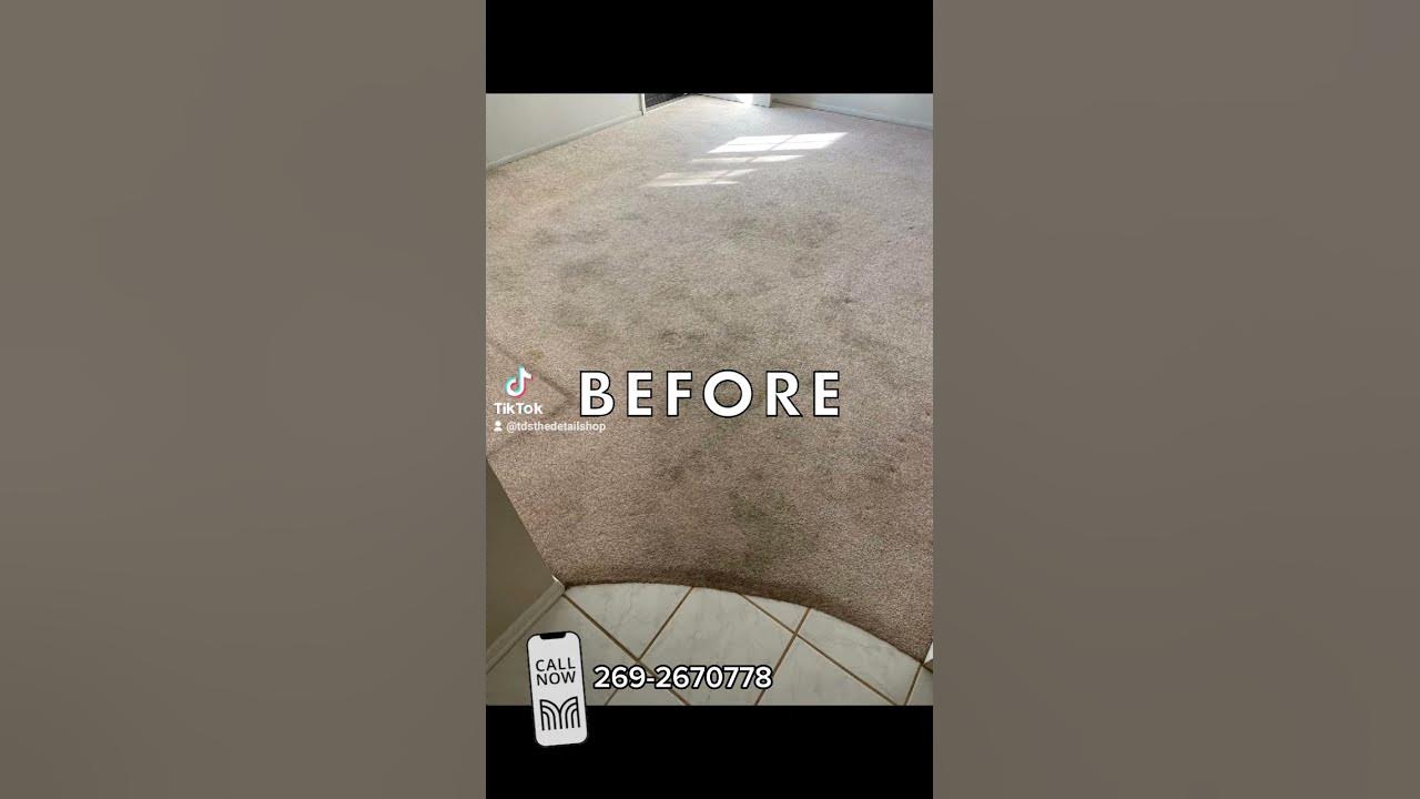 119 3room Carpet Cleaning Special! Ends Jan 12! kalamazoo 