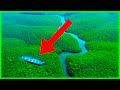 10 Descubrimientos Más Raros de la Selva Amazónica