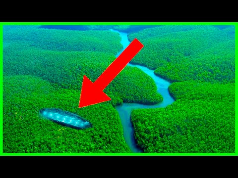 10 Descubrimientos Más Raros de la Selva Amazónica