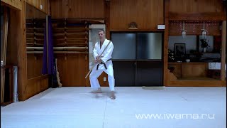 Айкидо Ивама Рю. Биомеханика. Джо хараи. Aikido Iwama Ryu. Biomechanics. Jo harai.