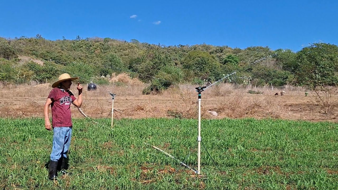 ASPERSORES TRABAJARON BIEN .ASI QUEDO EL SISTEMA SOLAR DE BOMBEO 