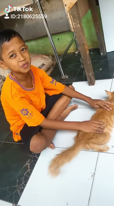 Mbah dukun baca mantra vs kucing