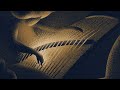 Trailer: Guzheng Melodies from China – Sleep Sounds | Hatch+