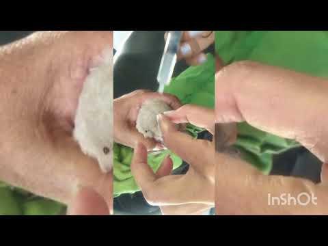 Save birds by putting water outside your house or on terrace ❤️