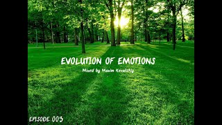 Maxim Kovalskiy Evolution Of Emotion 003