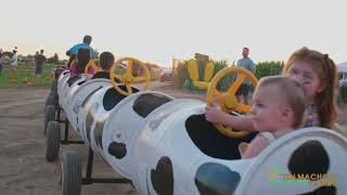 2023 Fall Season Corn Maze, Pumpkin Patch
