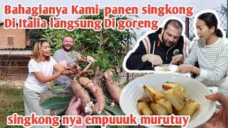 WE ARE SO HAPPY TO FINALLY HARVEST CASSAVA IN ITALY, FRIED IT IMMEDIATELY, SO DELICIOUS AND TENDER