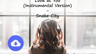 Look at You (Instrumental Version) - Snake City
