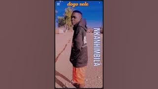 Dogo selle tema Nkanhimbila fone musica official