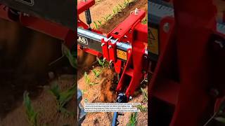 🚜 Row Cultivator Prevents Weeds Increasing Corn Growth #Farming #Agriculture #Tractor