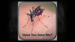 MOSQUITO CONTROL