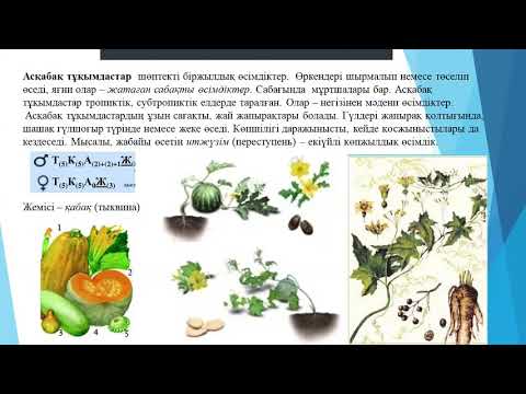 Бейне: Қызыл қауырсынды өсіру: сәндік беде өсімдіктеріне күтім жасау бойынша кеңестер