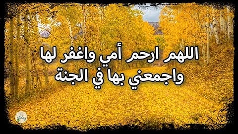 سورة الروم من الآية ٢١ إلى الآية ٣٠
