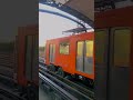 महिला ने रोकी बुलेट ट्रेन ? Japan bullet train.