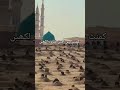 #makkahlive2023today #kabalive #vlog #hajjlive2022today #madinahlive #birds #peace #madinashariflive