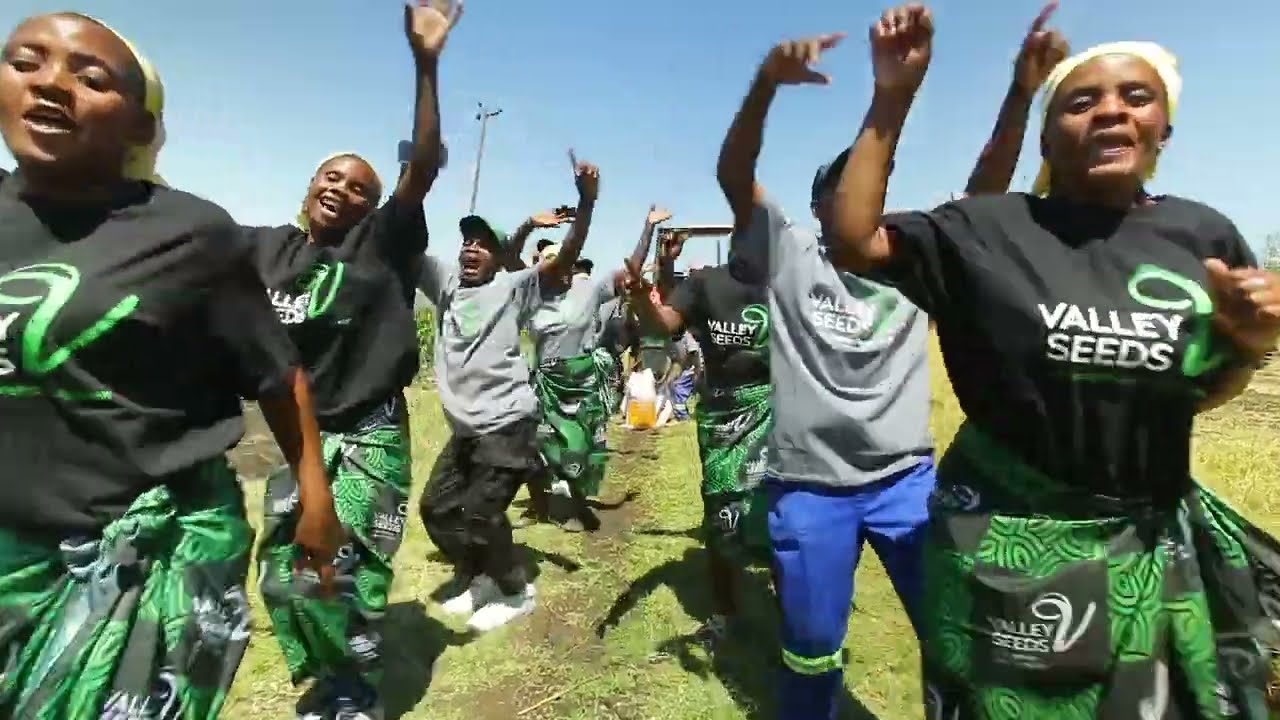 Valley Seeds Ad and Baba Harare Jingle