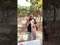 شاهد العنب خيرات بورقيقة بسم الله ما شاء الله الفلاح هذا هدية ل رئيس عبد المجيد تبون