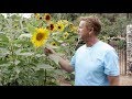 Natures flavors organic farming