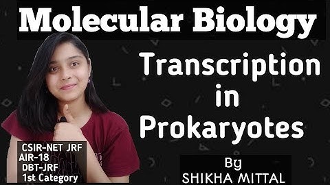 Prokaryotic Transcription - MOLECULAR BIOLOGY CSIR-NET JRF LIFESCIENCE