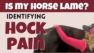 How to identify equine hock pain