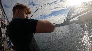 10 minute fishing frenzy Sydney Harbour Pier 2