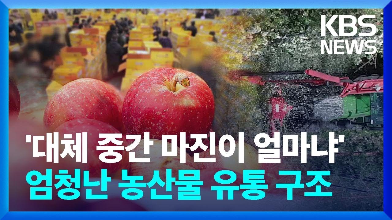 “과일값 올라도 돈 못 벌어”…왜곡된 유통 구조 [친절한 뉴스K]  / KBS  2024.04.02.