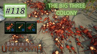 Empires of the Undergrowth #118: The Big Three Colony