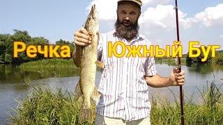 Рыбалка речка Южный Буг, щука и судак