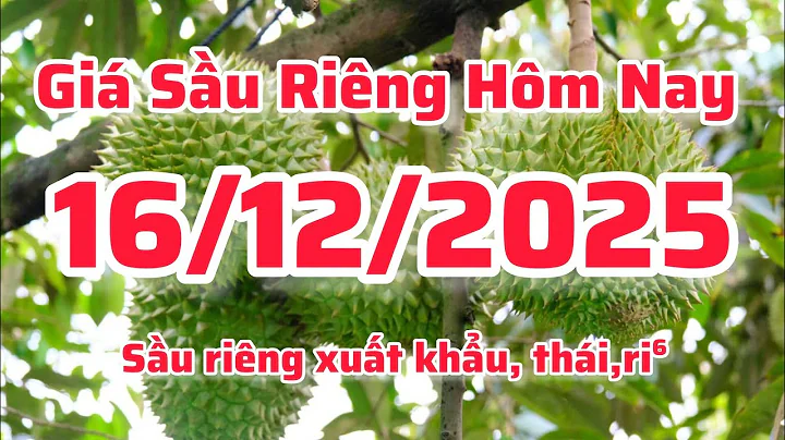 giá sầu riêng hôm nay 16/12/2025 sầu riêng thái miền tây, sầu riêng xuất khẩu