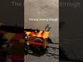 The bug