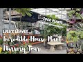 INCREDIBLE House Plant Shopping for WISH LIST Plants | The Watering Can Nursery Tour