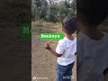 Spotted Monekys #shorts #youtubeshorts