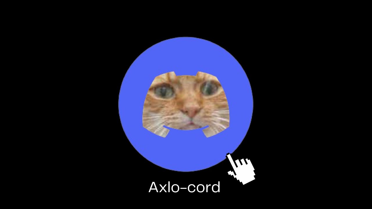When you become the owner of DISCORD - YouTube