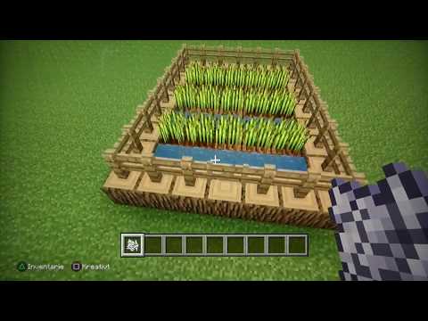 Video: Hur Man Planterar Frön I Minecraft