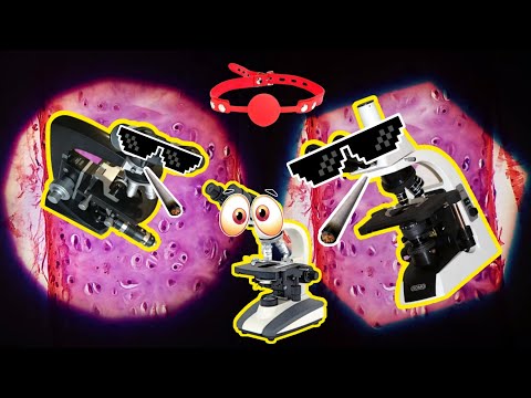 Битва трех: Микмед, Биомед, Meopta. Сравниваем микроскопы